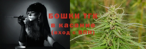 мет Елабуга