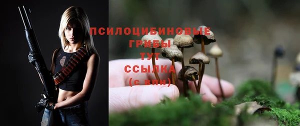 spice Заводоуковск