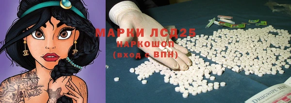 мет Елабуга